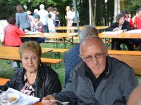 Favolosi anni 50 (195)